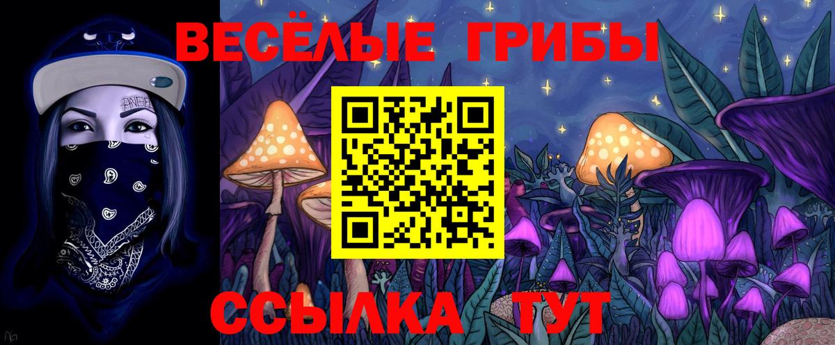 Псилоцибиновые грибы Magic Shrooms Элиста