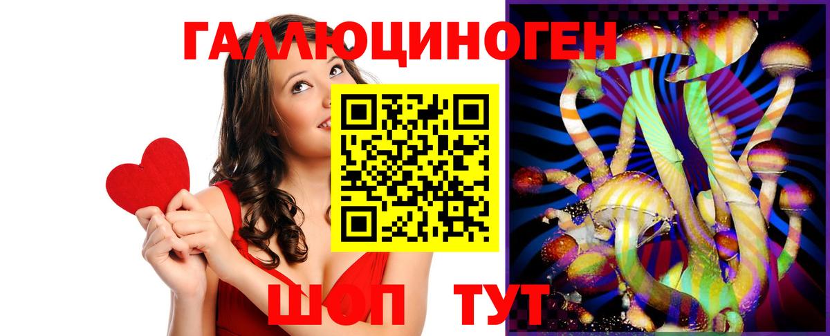 Галлюциногенные грибы Psilocybe  Вход с VPN  Элиста 