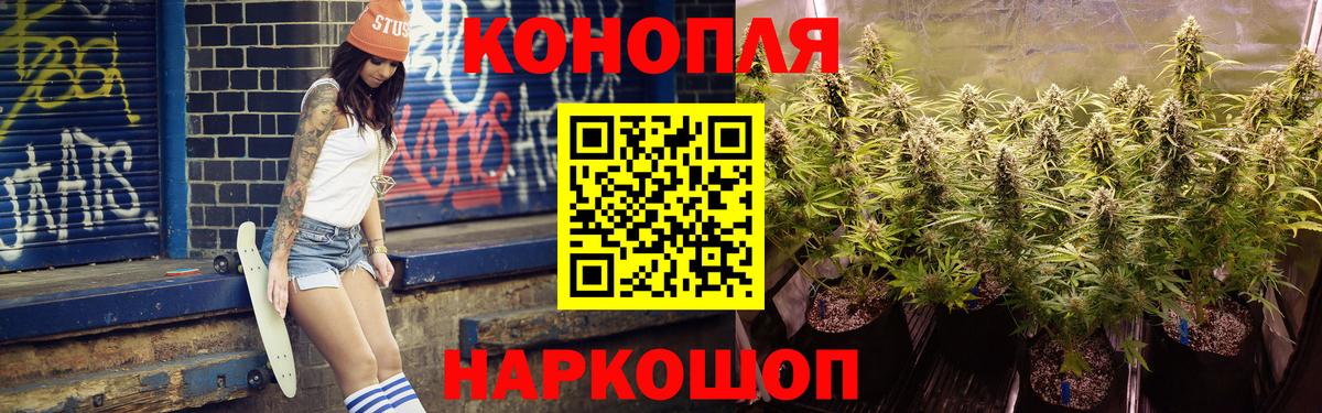 Бошки марихуана сатива  Вход с VPN  Бошки Шишки Amnesia  Элиста 
